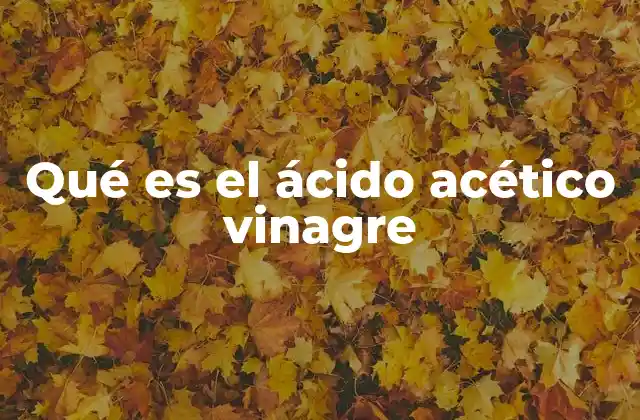 Qué es el Ácido Acético Vinagre
