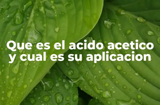Que es el Acido Acetico y Cual es Su Aplicacion