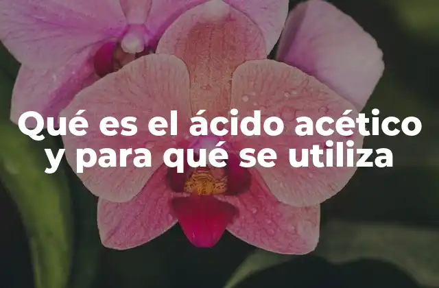 Qué es el Ácido Acético y para Qué Se Utiliza