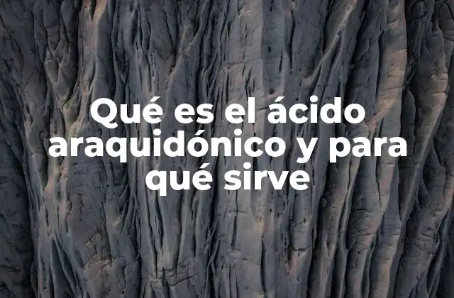 Qué es el Ácido Araquidónico y para Qué Sirve