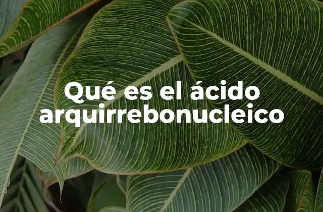 Qué es el Ácido Arquirrebonucleico