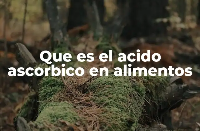 Que es el Acido Ascorbico en Alimentos