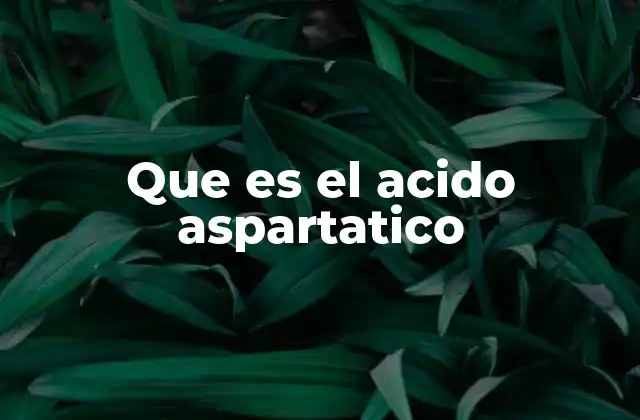 Que es el Acido Aspartatico 2 El papel del ácido aspártico en el cuerpo humano