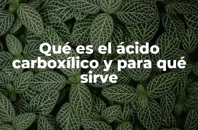 Qué es el Ácido Carboxílico y para Qué Sirve 2 Estructura molecular y propiedades físicas de los ácidos carboxílicos