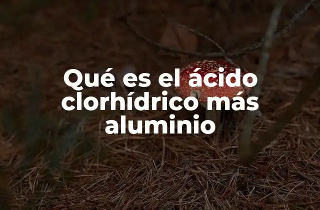 Qué es el Ácido Clorhídrico Más Aluminio