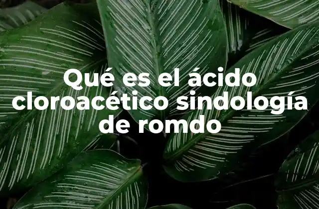 Qué es el Ácido Cloroacético Sindología de Romdo