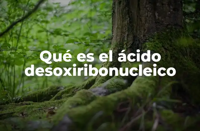 Qué es el Ácido Desoxiribonucleico
