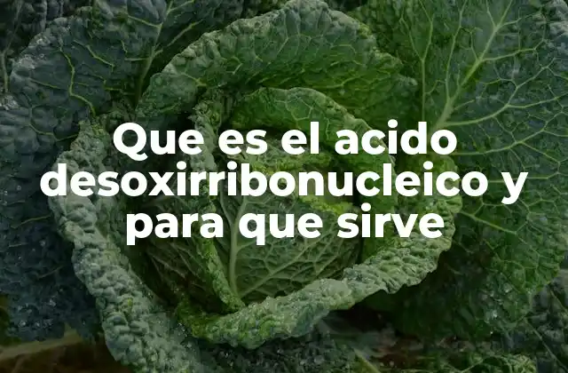 Que es el Acido Desoxirribonucleico y para que Sirve