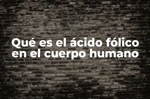Qué es el Ácido Fólico en el Cuerpo Humano