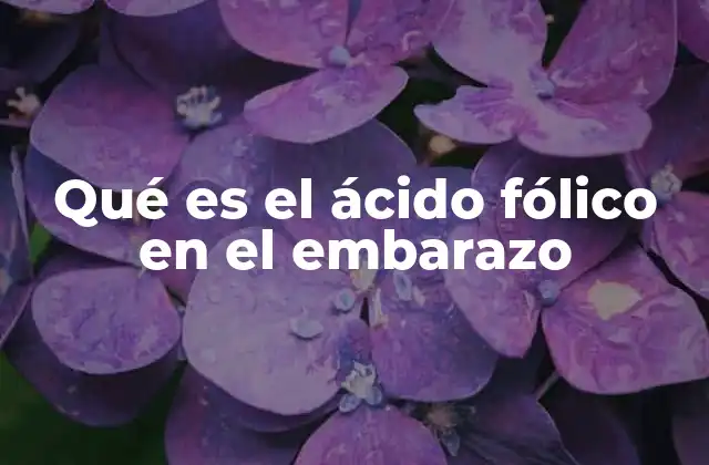 Qué es el Ácido Fólico en el Embarazo