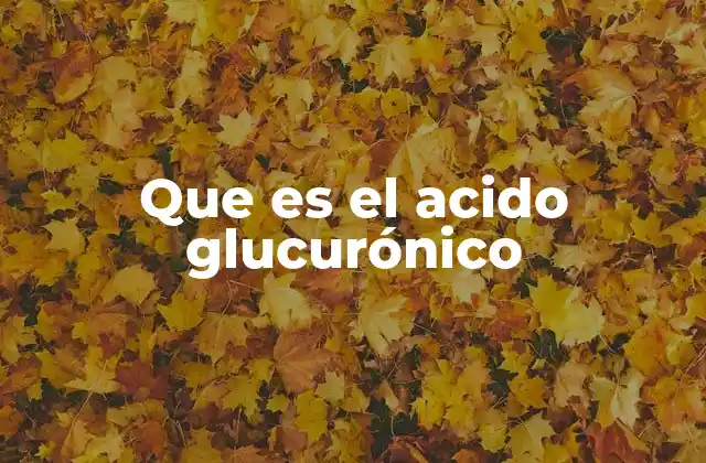Que es el Acido Glucurónico