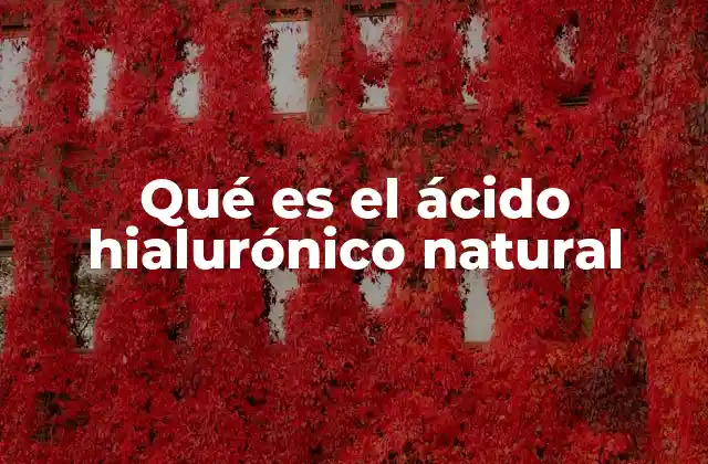Qué es el Ácido Hialurónico Natural