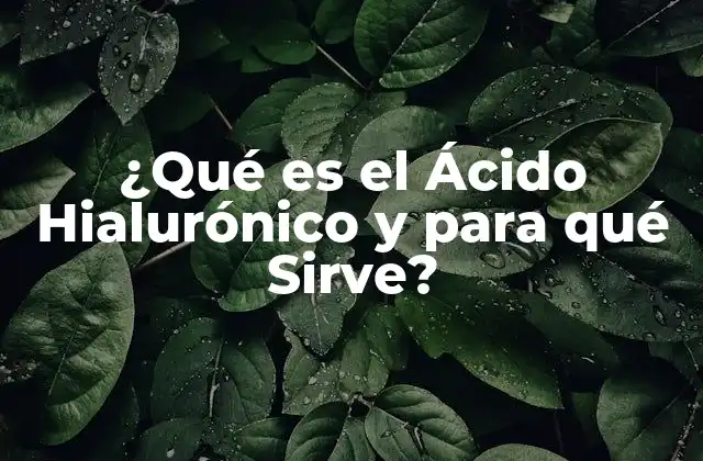 ¿qué es el Ácido Hialurónico y para Qué Sirve? 12 Estructura y Funciones del Ácido Hialurónico