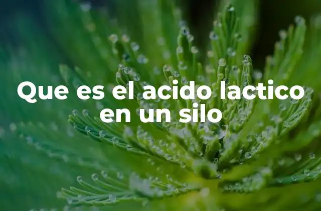 Que es el Acido Lactico en un Silo