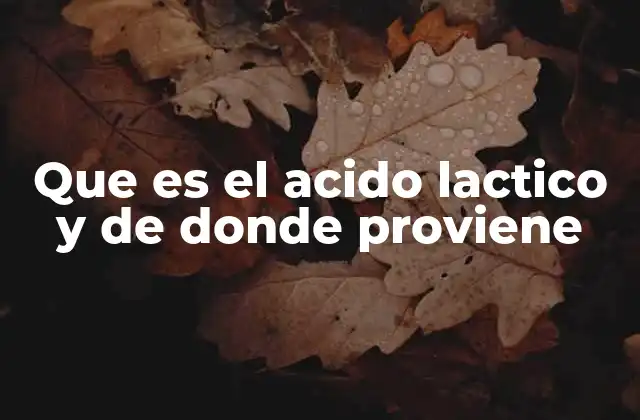 Que es el Acido Lactico y de Donde Proviene