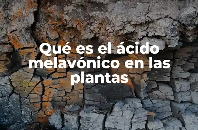 Qué es el Ácido Melavónico en las Plantas