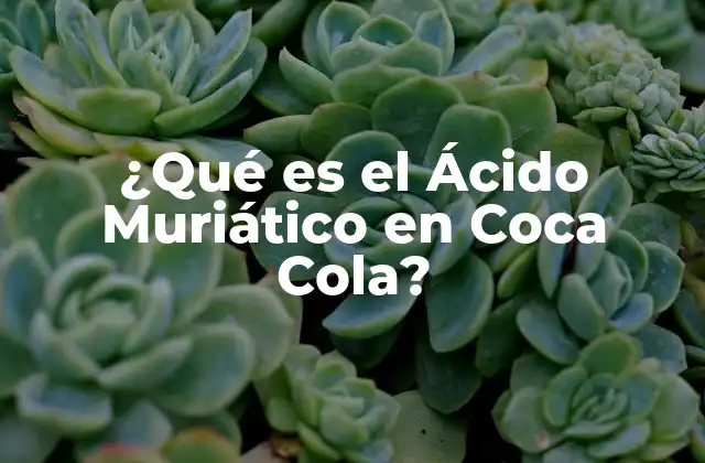 ¿qué es el Ácido Muriático en Coca Cola?