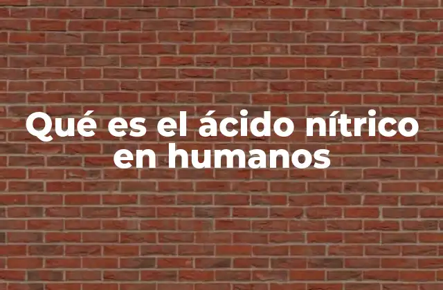 Qué es el Ácido Nítrico en Humanos