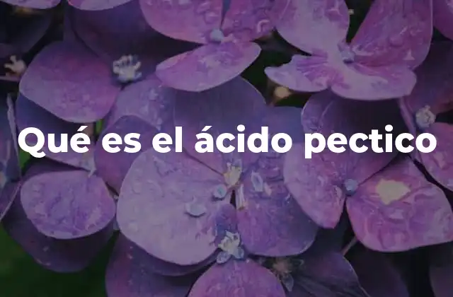 Qué es el Ácido Pectico