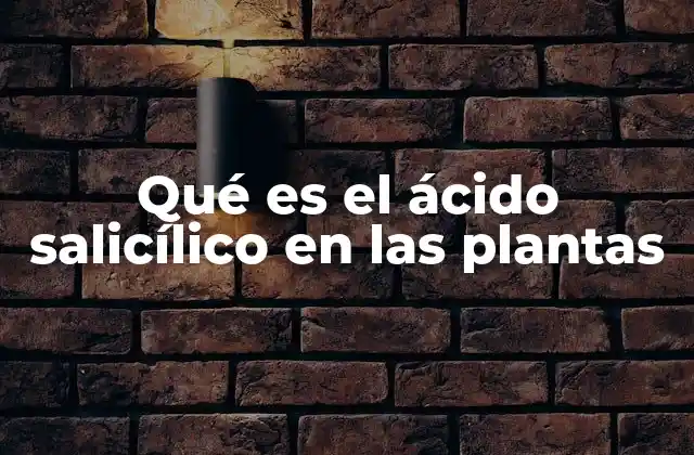 Qué es el Ácido Salicílico en las Plantas
