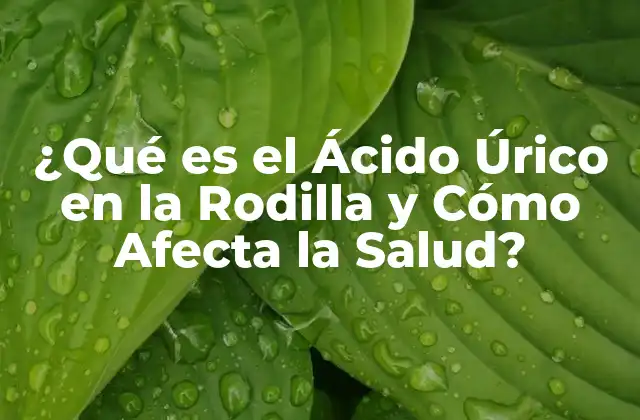¿qué es el Ácido Úrico en la Rodilla y Cómo Afecta la Salud?