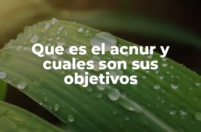 Que es el Acnur y Cuales Son Sus Objetivos