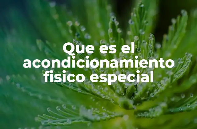 Que es el Acondicionamiento Fisico Especial