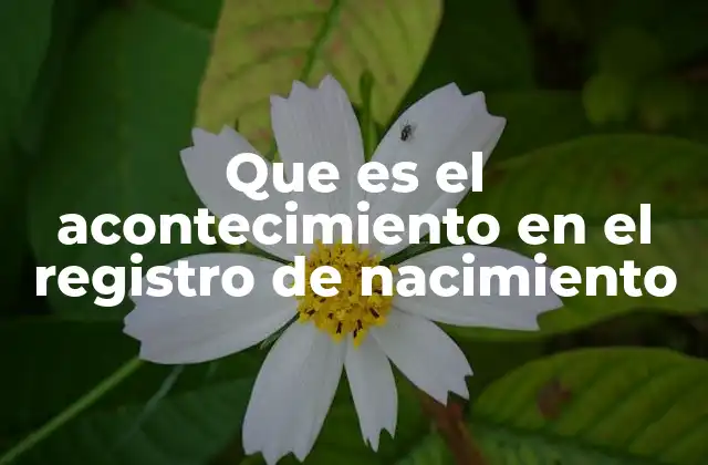 Que es el Acontecimiento en el Registro de Nacimiento