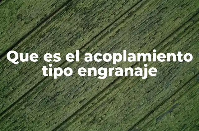 Que es el Acoplamiento Tipo Engranaje 2 Componentes y funcionamiento de los acoplamientos de engranajes