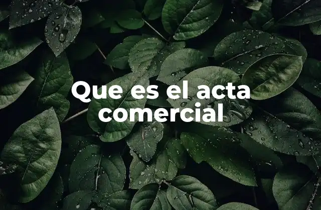 Que es el Acta Comercial