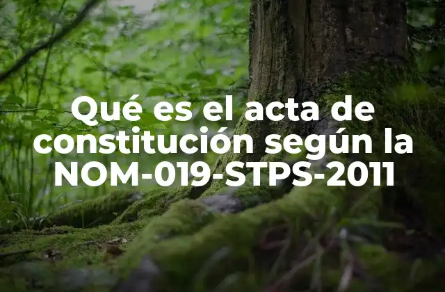 Qué es el Acta de Constitución según la Nom-019-stps-2011