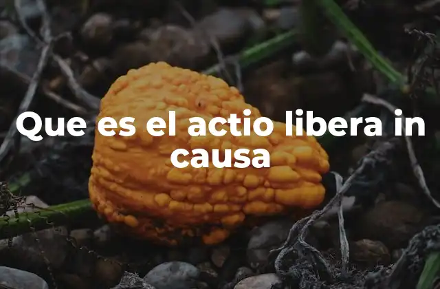 Que es el Actio Libera In Causa