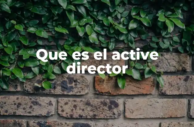 Que es el Active Director