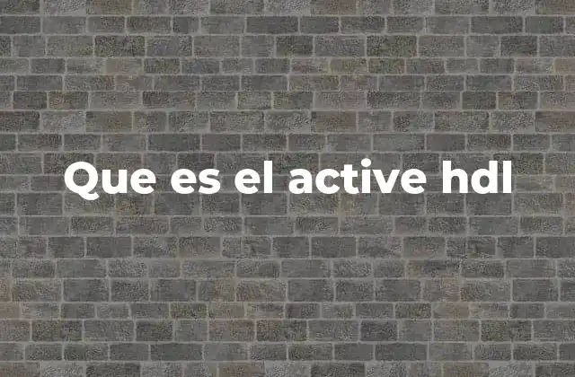 Que es el Active Hdl