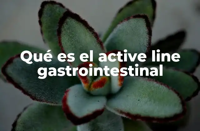 Qué es el Active Line Gastrointestinal