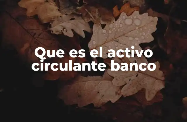 Que es el Activo Circulante Banco