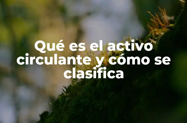 Qué es el Activo Circulante y Cómo Se Clasifica