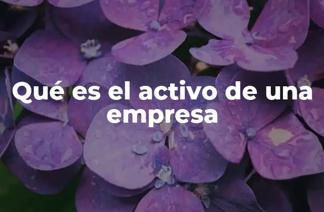 Qué es el Activo de una Empresa