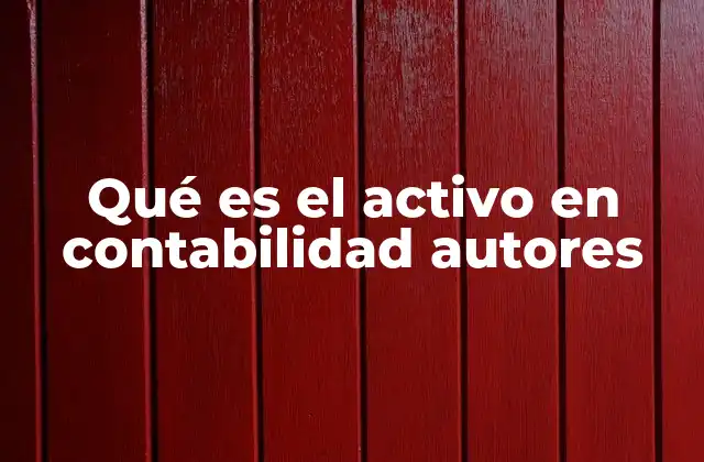 La importancia de los autores en la definición del activo contable