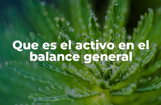 Que es el Activo en el Balance General