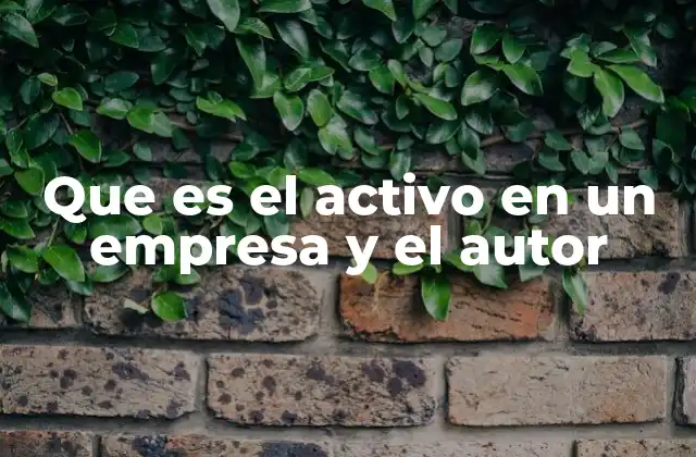 Que es el Activo en un Empresa y el Autor