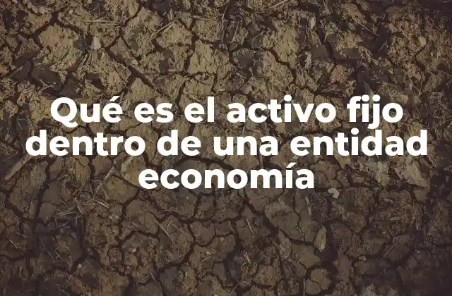 Qué es el Activo Fijo Dentro de una Entidad Economía
