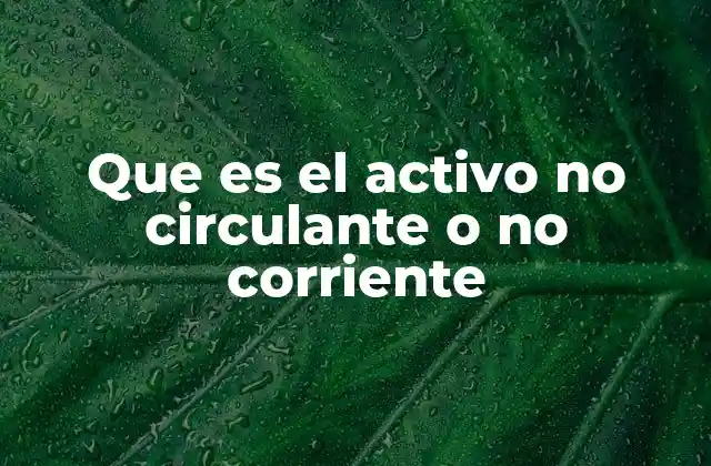Que es el Activo No Circulante o No Corriente