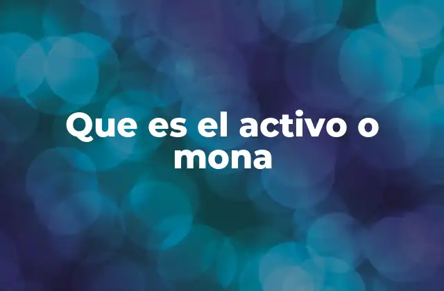Que es el Activo o Mona