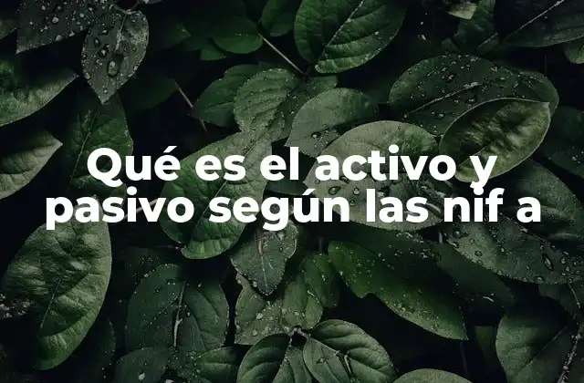 Qué es el Activo y Pasivo según las Nif a