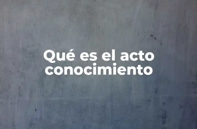 El proceso del conocimiento humano