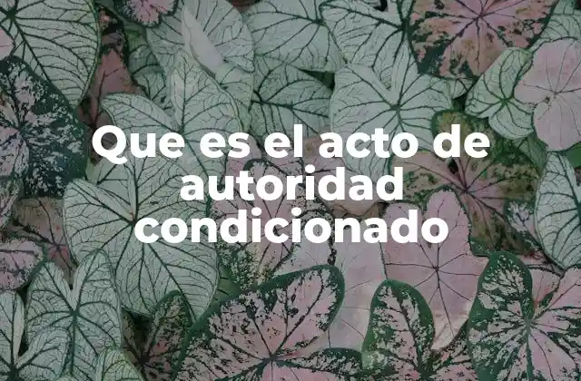 Que es el Acto de Autoridad Condicionado