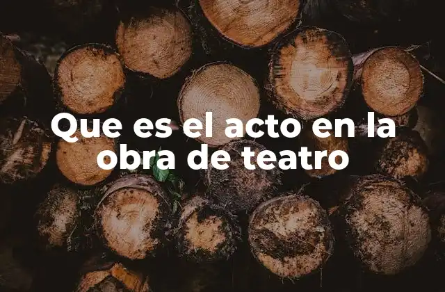 Que es el Acto en la Obra de Teatro