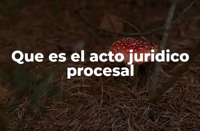 Que es el Acto Juridico Procesal