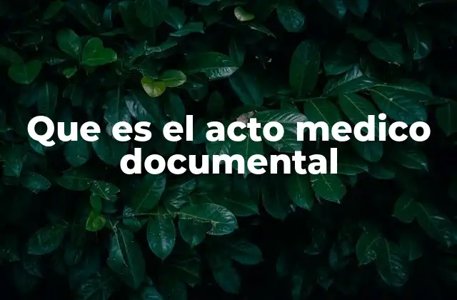 Que es el Acto Medico Documental